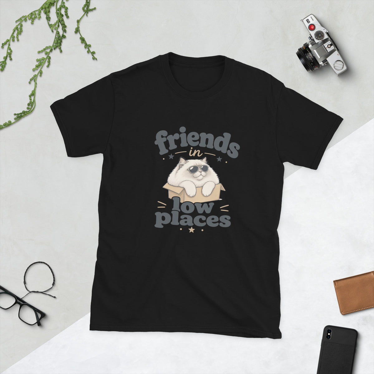 Cat in a Box design on Black Gildan 64000 t-shirt