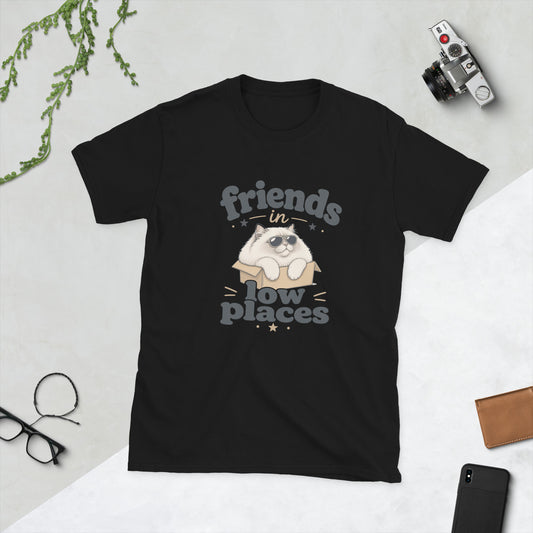 Cat in a Box design on Black Gildan 64000 t-shirt