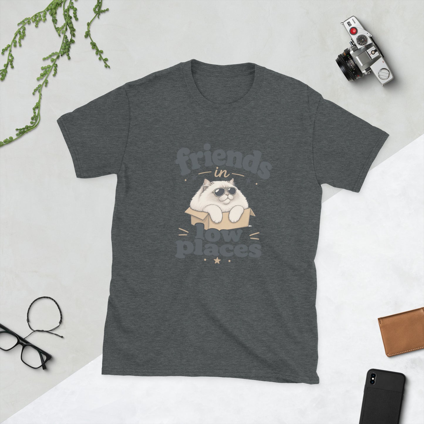 Cat in a Box design on Dark Heather Gildan 64000 t-shirt