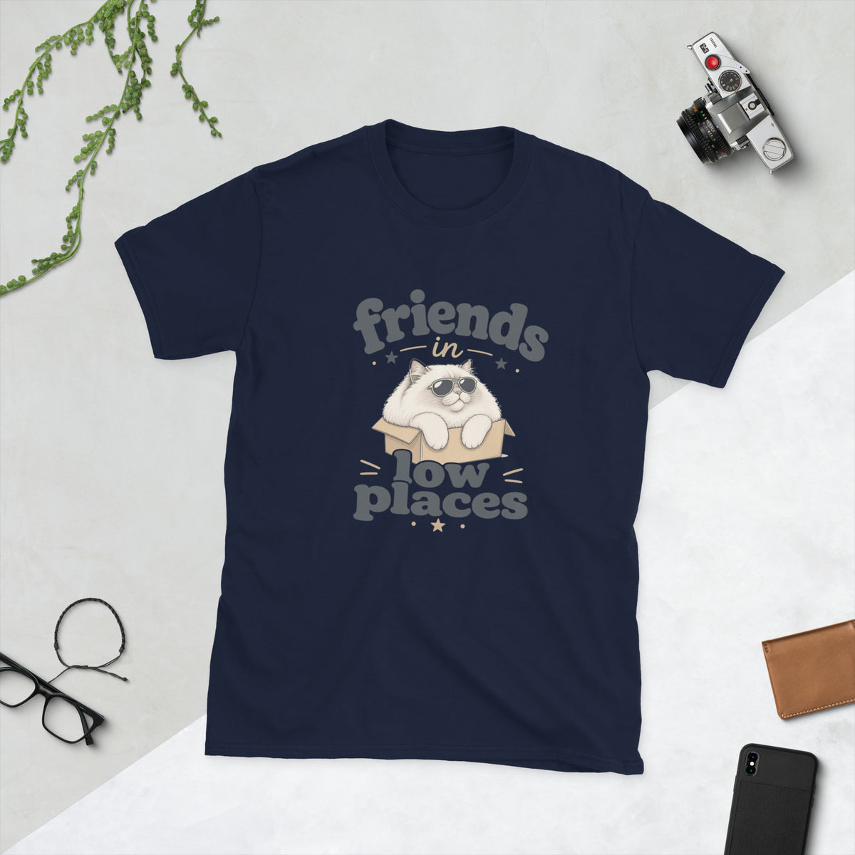 Cat in a Box design on Navy Gildan 64000 t-shirt