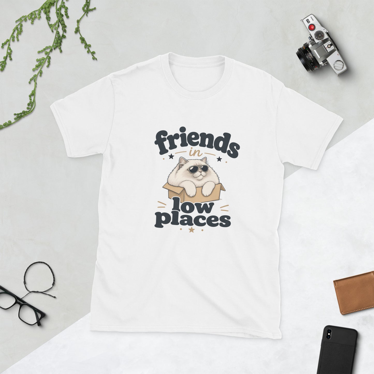 Cat in a Box design on White Gildan 64000 t-shirt